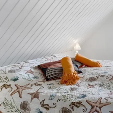 Ae Quinta Klitmøller